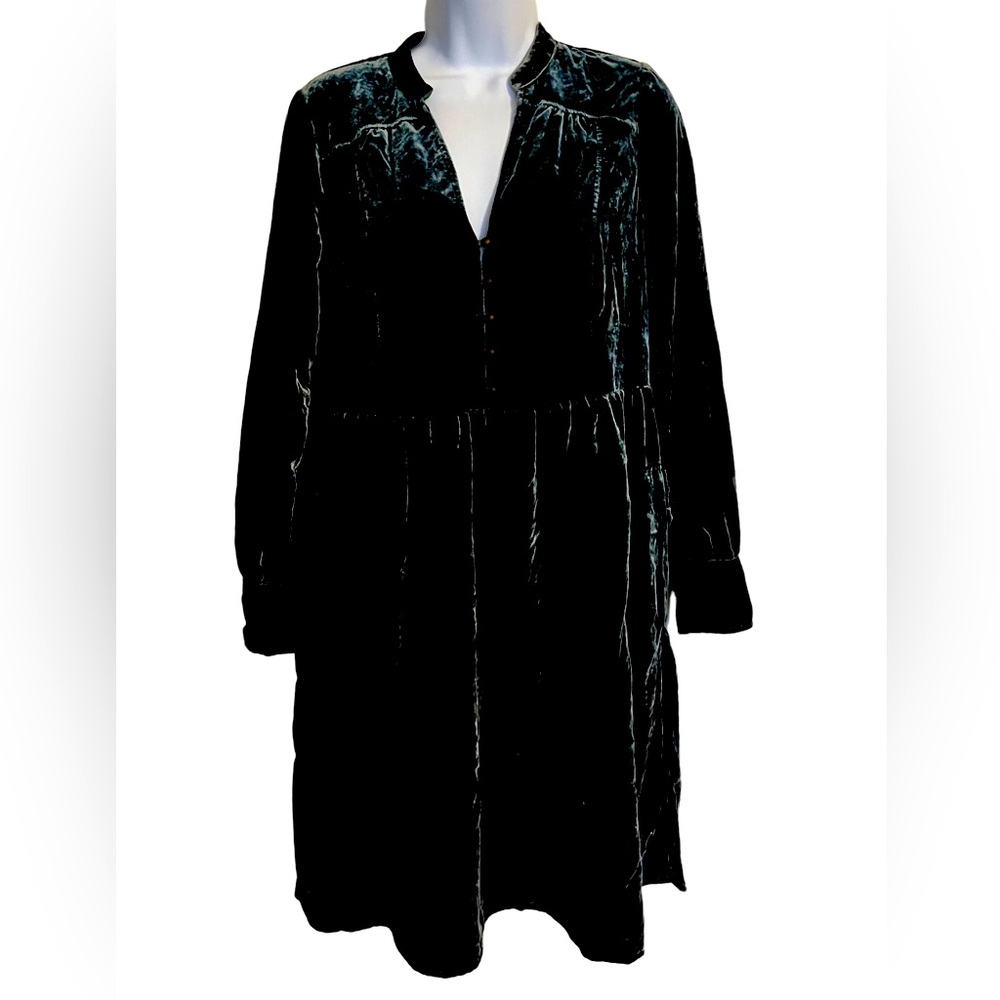 Anthropologie Holding Horses Velvet dress